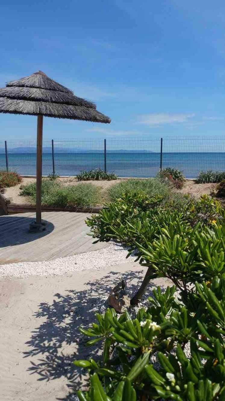Bord De Mer, Superbe Studio Tout Confort Hyères Exteriér fotografie
